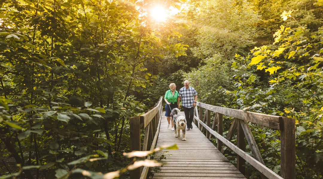 Couple walking dog on bridge